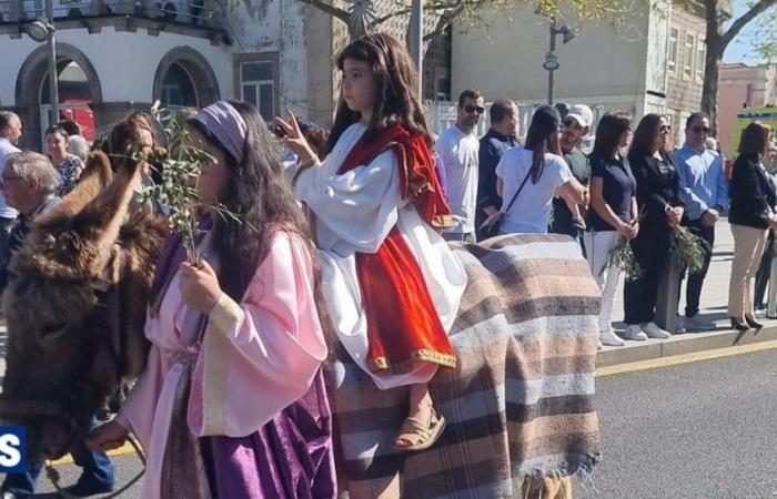 Procession of Palms brings together hundreds of extras and faithful (video)