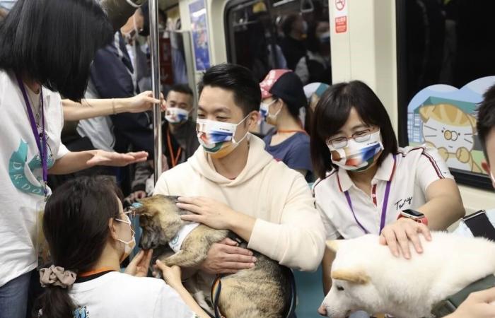 Taipei metro to offer special pet trains March 31