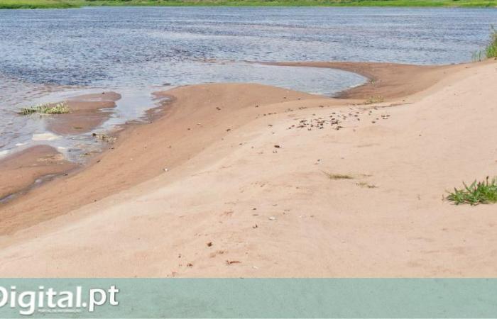 Local authority launched the public tender to create a river beach in Oriola