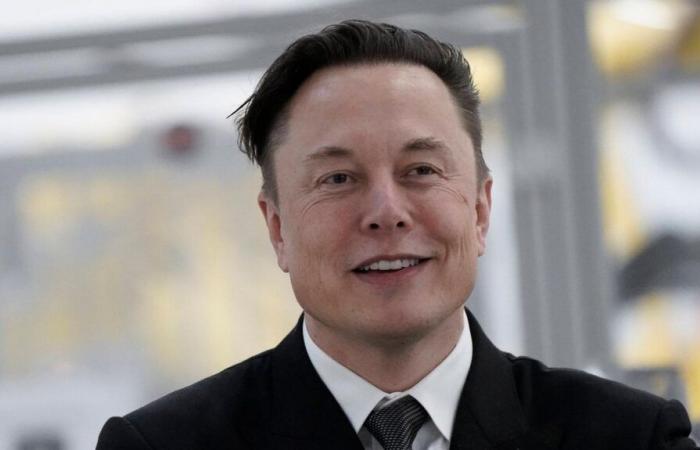 Always controversial Elon Musk reveals that he uses an anesthetic for horses to “improve” their “negative mood”