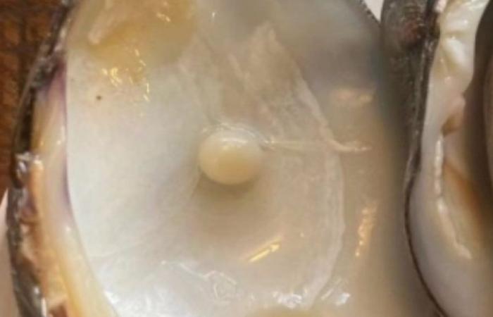 Couple finds pearl in oyster, makes ring and announces marriage in USA