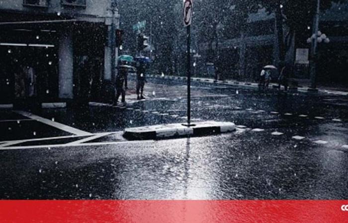 Avenida D. Carlos I in Porto closed due to bad weather – Society