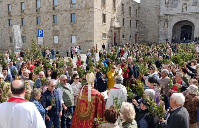 Holy Week: Easter “is a cry of hope” in the face of “injustice, war, violence and death”, says the bishop of Viseu