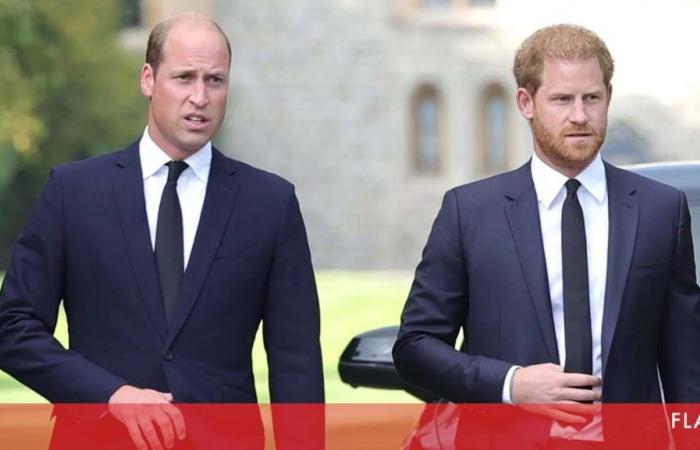 Harry offers help to his father and brother. But William ignores him – World