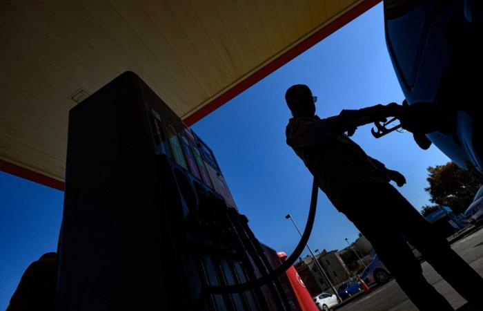 Average price of gasoline and diesel increases this week