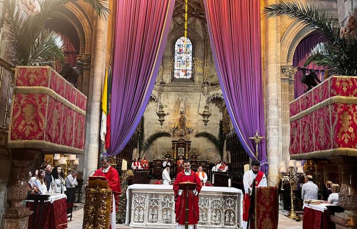 Archbishop of Braga wants the Church to have open and welcoming doors – Archive – News