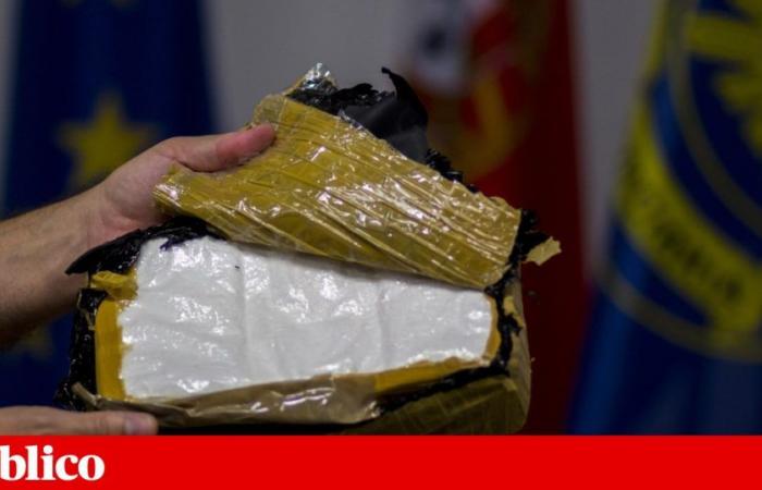 PJ seizes 41 thousand doses of cocaine: 11 thousand discovered in a corpse in Lisbon | Drug dealing