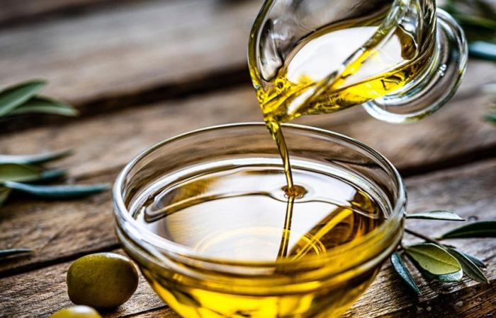Why is olive oil so expensive? Understand and remember how much the product cost in 2023 | News