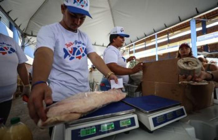Sedap publishes a table with prices and species that will be offered at the 2024 Fish Fair