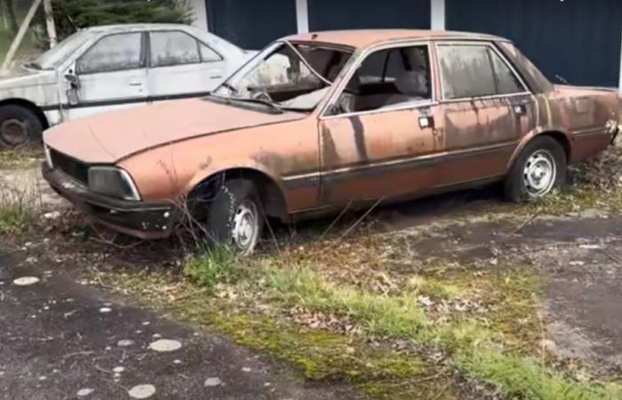 Abandoned Peugeot dealership has dozens of cars rotting