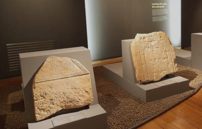 Tavira Municipal Museum promotes guided tour of the “Balsa, Roman City” exhibition