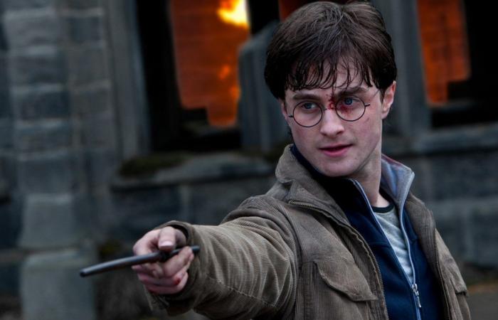 Actress hits back at her colleague from ‘Harry Potter’ who told adult fans to grow up and stop watching the franchise’s films: ‘You don’t understand anything’ | Films