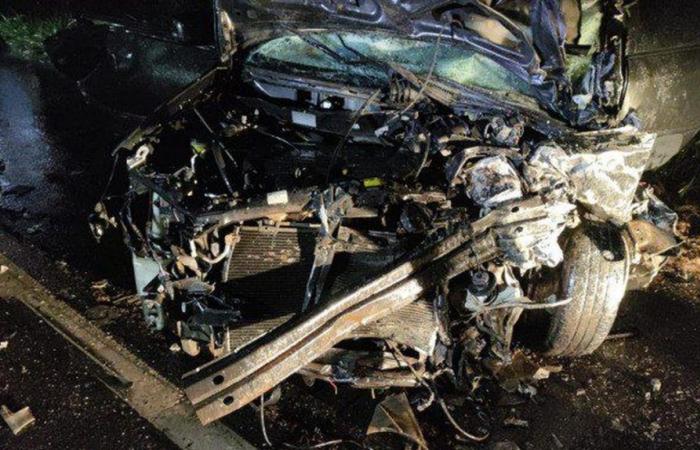 Accident that killed three teachers on BR-267 was caused after their car entered the opposite lane, says PRF | Wood zone