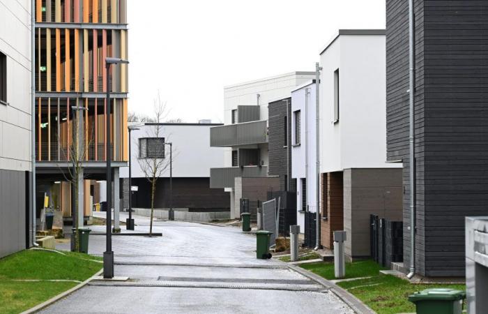 Government wants to make it easier to buy affordable homes in Luxembourg