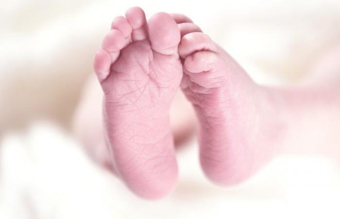 Brazil has the lowest number of births since 1977, says IBGE