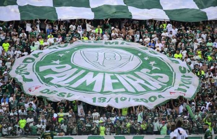 Leader of partners in Brazil, Palmeiras raised R$58 million and broke record revenue from fans | palm trees
