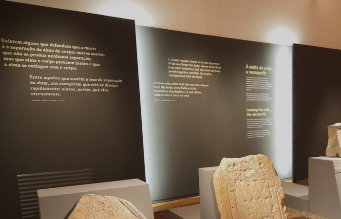 Tavira Museum promotes new guided tour of the “Balsa, Roman City” exhibition