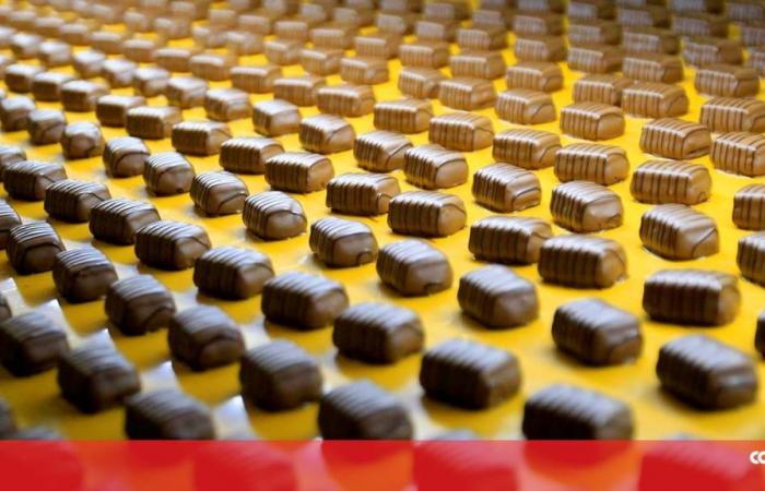 Do you like chocolate? Cocoa prices continue to rise and may not have reached their peak yet – Society