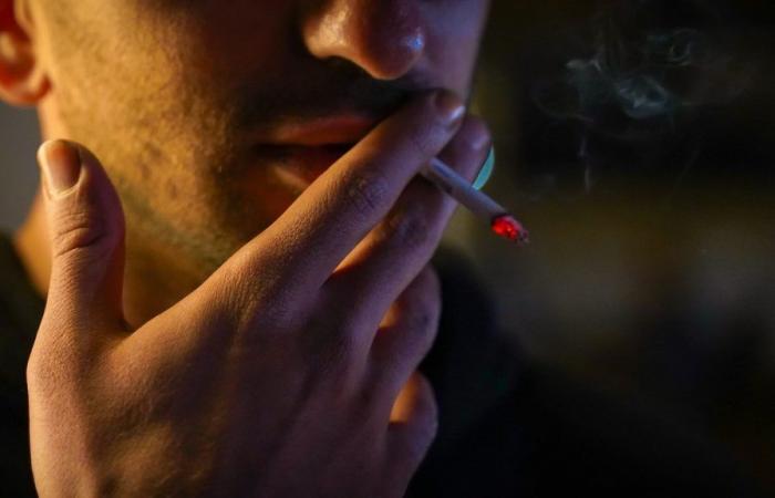 Smoking increases hidden fat in our body