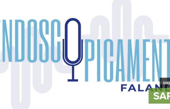 New podcast “Endoscopicamente Fala” addresses topics related to digestive health – Health – SAPO.pt