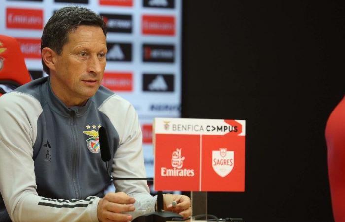 Benfica Chaves Roger Schmidt League Preview