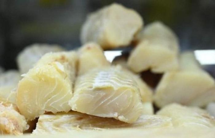 Holy Week: variation in the price of cod can reach 325% in Greater BH – State of Minas