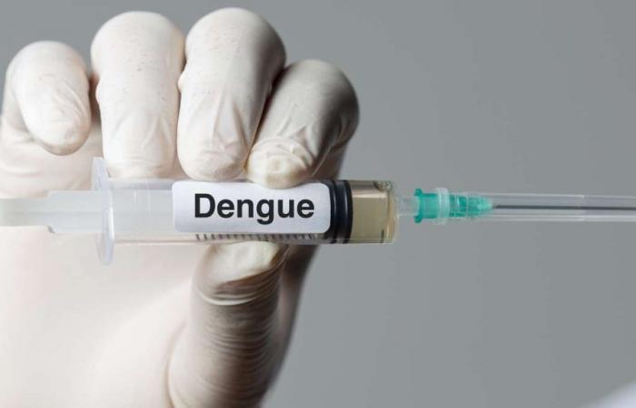 Brazil breaks record with almost 1.9 million dengue cases