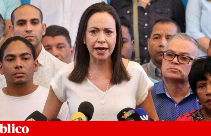 Venezuelan opposition manages to register provisional candidate | Venezuela