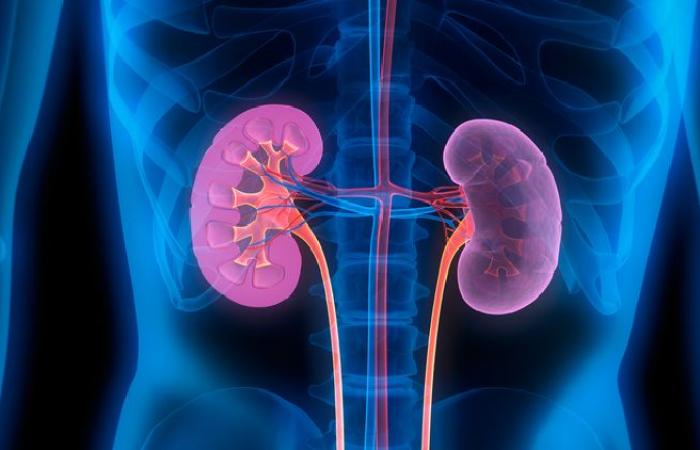 Use of complementary, alternative medicine prevalent among Taiwan’s chronic kidney patients