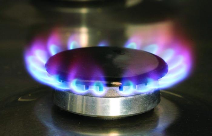 ERSE proposes a 6.9% increase in the price of natural gas for families in the regulated market