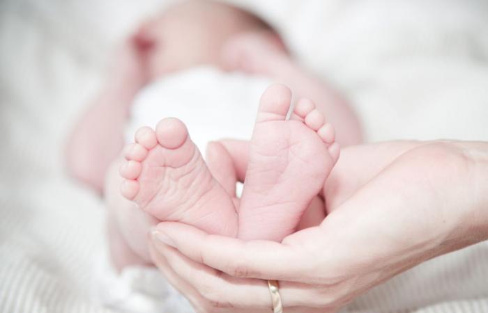 IBGE: Minas Gerais has a drop in births for the fourth consecutive year