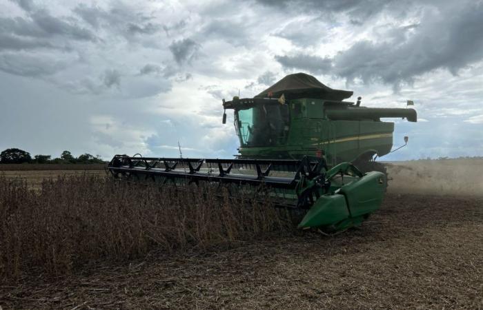 Soybean prices in Brazil end March on the rise | Soy