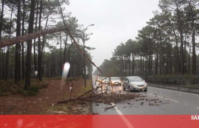 Bad weather: More than 700 occurrences between Thursday and today – Portugal