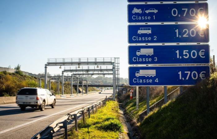 On average, 10 thousand cars circulate per day on the Viseu sections of the A24 and A25