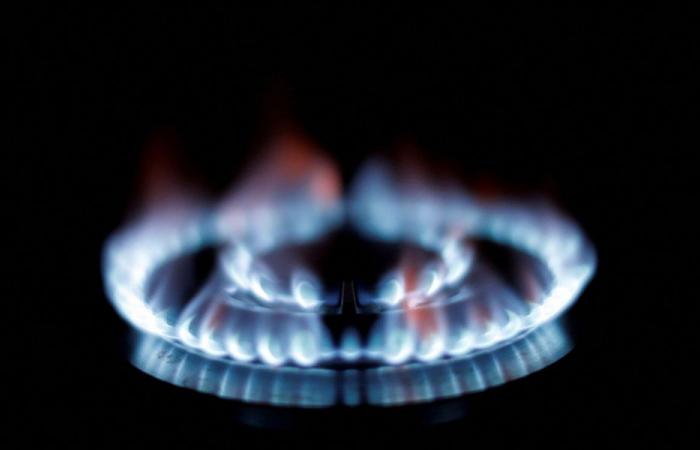 ERSE proposes a 6.9% increase in the price of natural gas for families in the regulated market