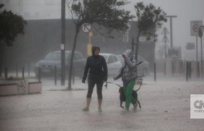 Bad weather: Portugal must prepare for more and worse extreme phenomena
