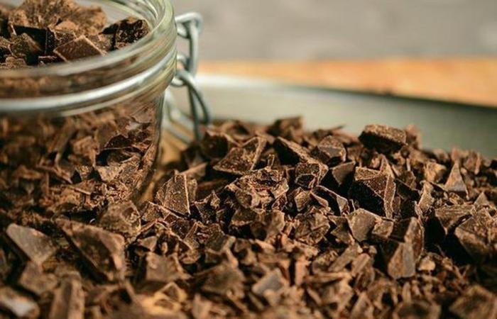 Cocoa reaches the biggest price increase in the last 50 years, driven by climate problems | Brazil