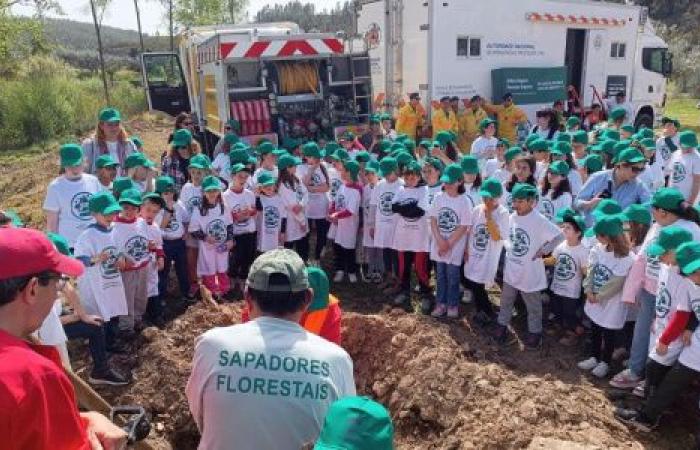 Arbor Day: Celebrations in Magueija