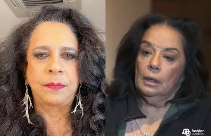 Who is Gal Costa’s widow? Singer’s son calls Wilma Petrillo a “viper and mercenary”