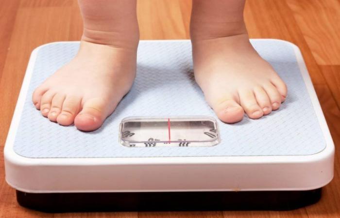 Vila Real schools put into action plan to combat childhood obesity