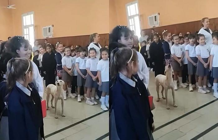 Caramel mongrel goes beyond limits and is caught singing the anthem with school children