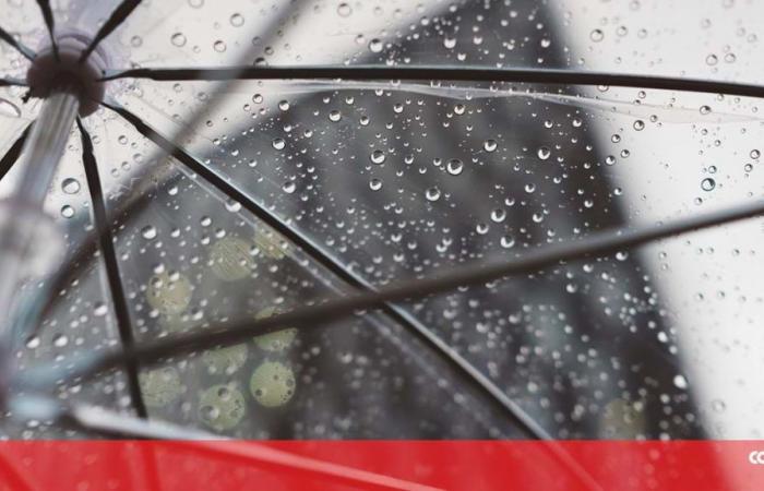 Central and Western Groups of the Azores with yellow warning of precipitation, wind and sea disturbances – Weather