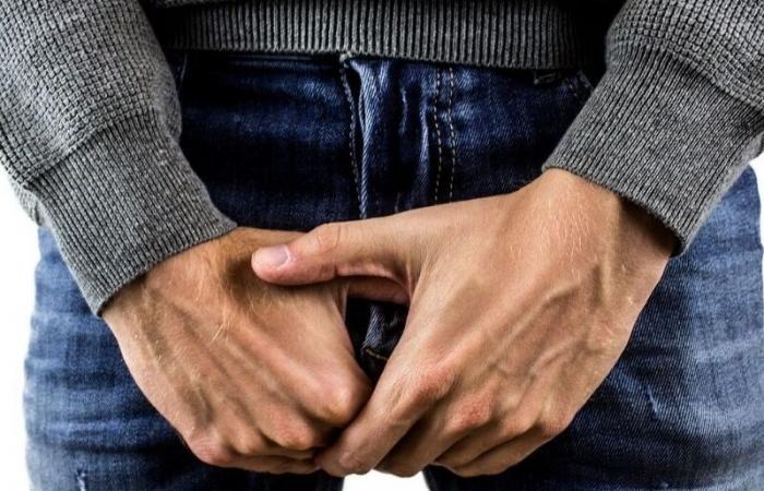 Myths and truths: expert clarifies 5 facts about the penis