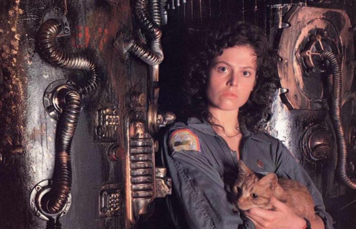 Legendary actress was the first choice to star in ‘Alien’, but personal tragedy saw her replaced by Sigourney Weaver. Learn the story | Films