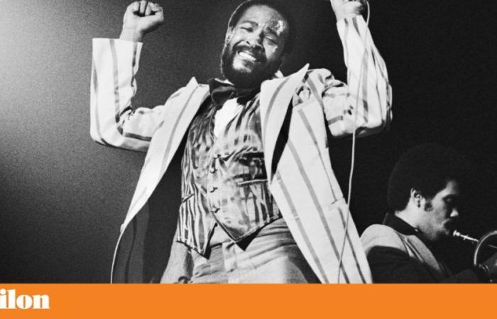 Collection of 66 new songs by Marvin Gaye revealed in Belgium | Music