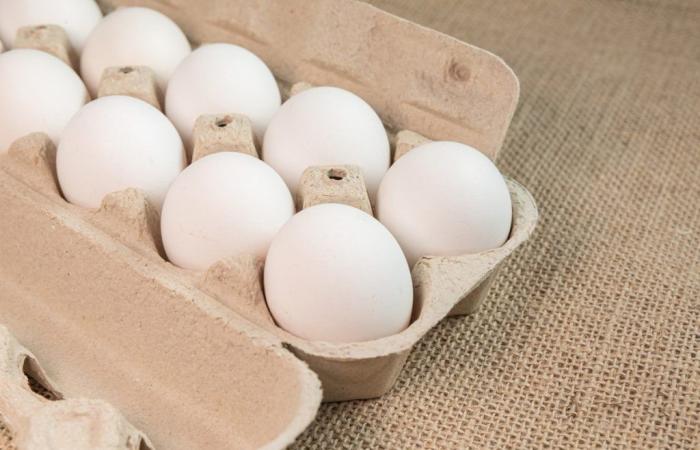 Egg prices end March in decline, informs Cepea | Birds
