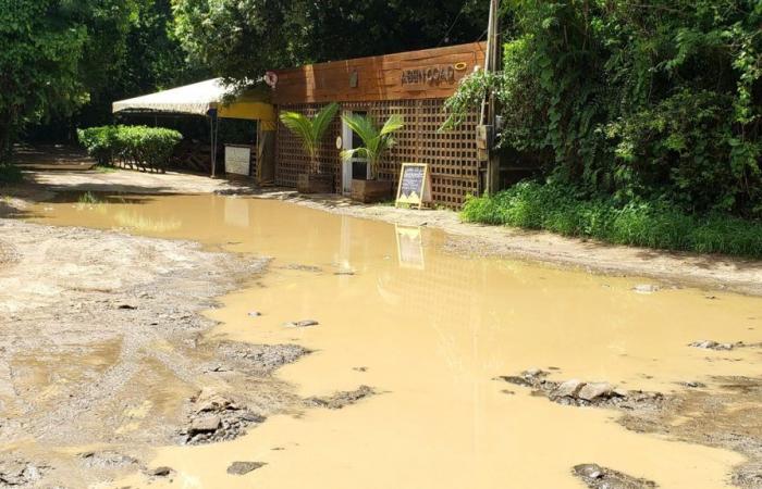 Traders at Praia Cacimba do Padre, in Noronha, complain about the mud and the risk of disease in the region | Living Noronha