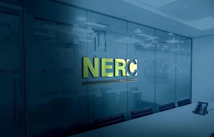 NERC promotes conference on business with Arab countries