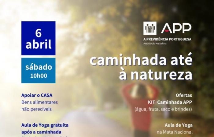 Portuguese Social Security promotes solidarity walk to support the homeless in Coimbra