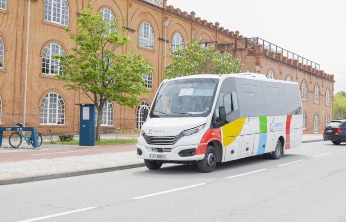 The new bus lines in the city center of Aveiro are now operating